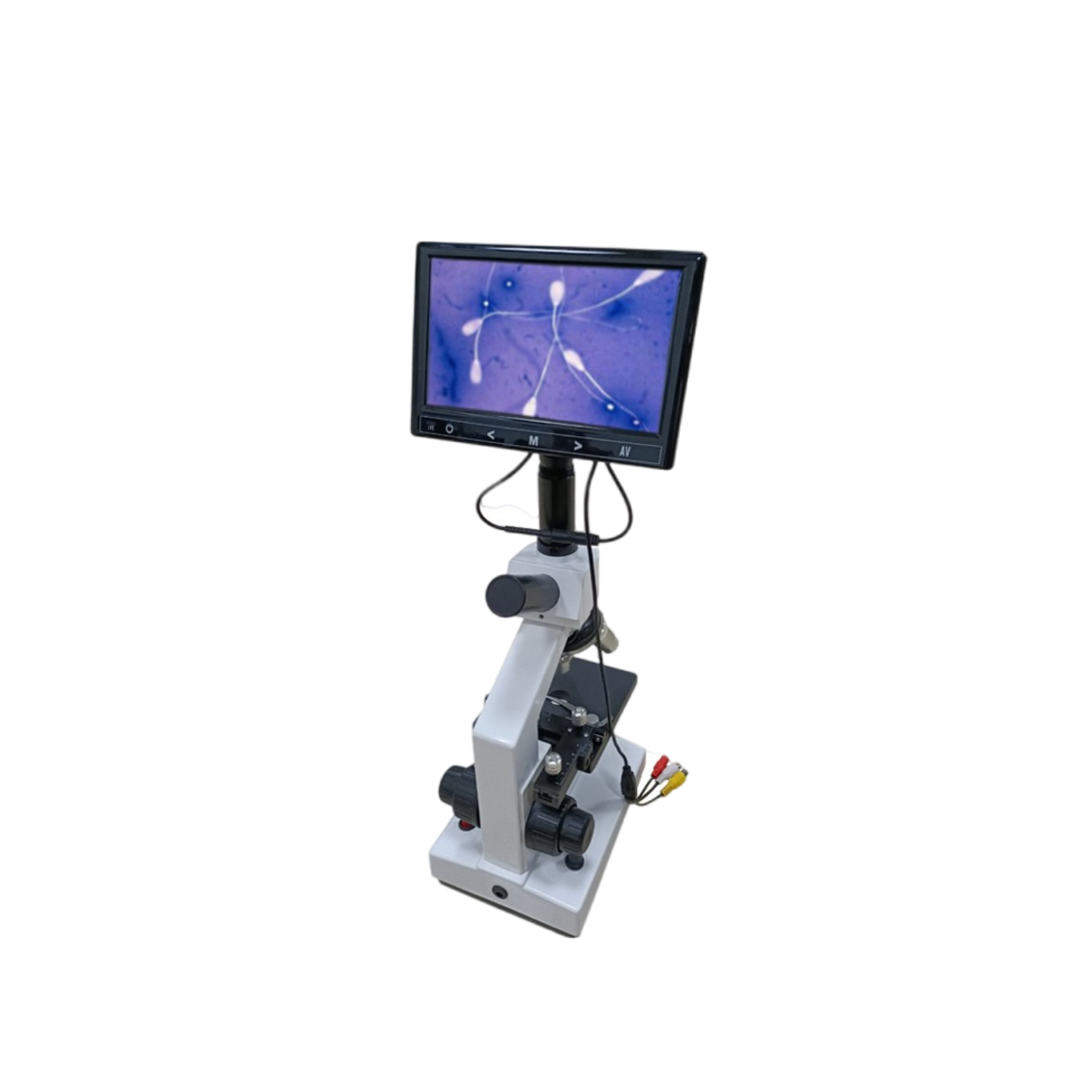 800x constant temperature microscope (with 7-inch display) product image