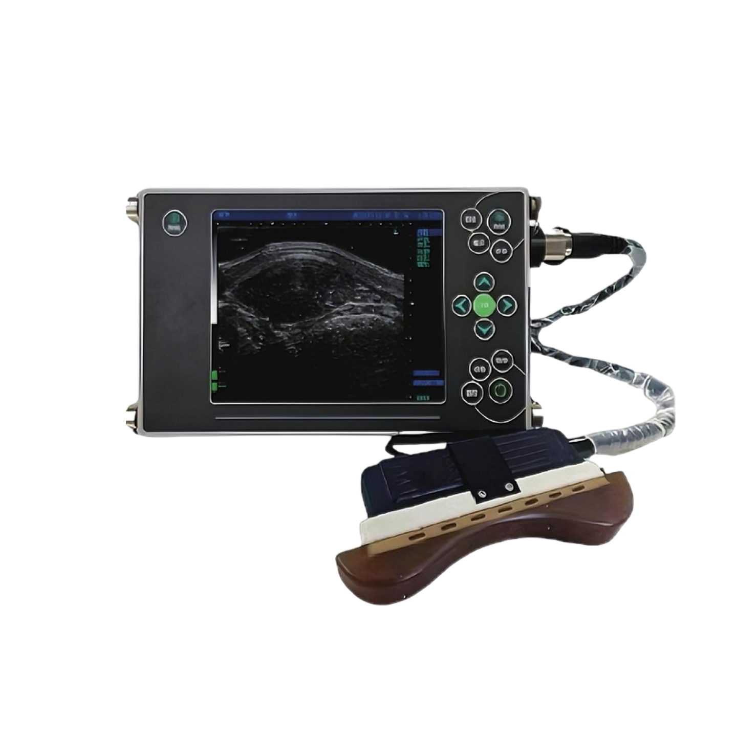 Special B-ultrasound for back fat and eye muscles product image