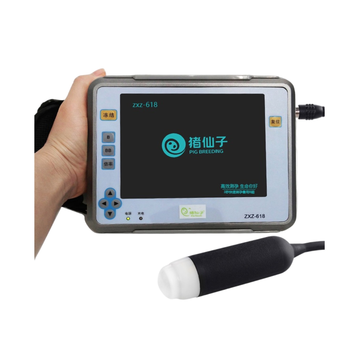 Full digital electronic ultrasound veterinary B-ultrasound product image